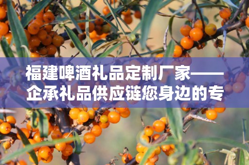 福建啤酒礼品定制厂家——企承礼品供应链您身边的专业礼品定制公司