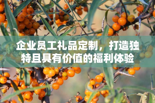企业员工礼品定制，打造独特且具有价值的福利体验