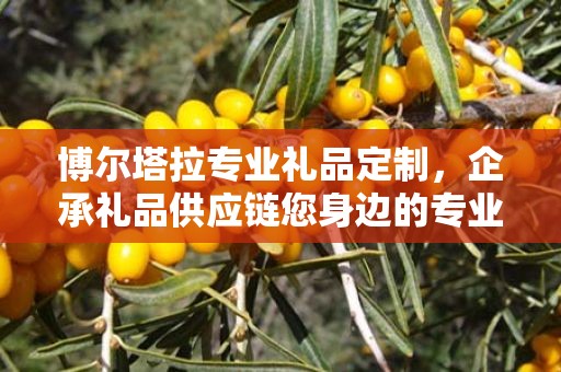 博尔塔拉专业礼品定制，企承礼品供应链您身边的专业礼品定制公司