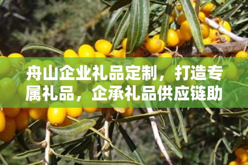 舟山企业礼品定制，打造专属礼品，企承礼品供应链助力商务往来
